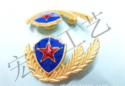 专业金属工艺品制作 徽章、奖章、国旗胸章、领徽帽徽定制服务